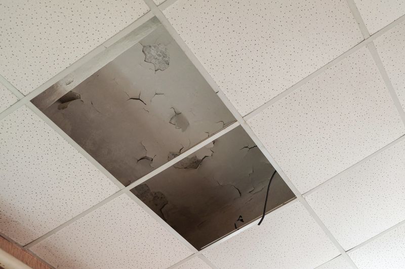 Ceiling Leak Repair Service in Katy, TX