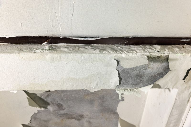 Interior Ceiling Repairs